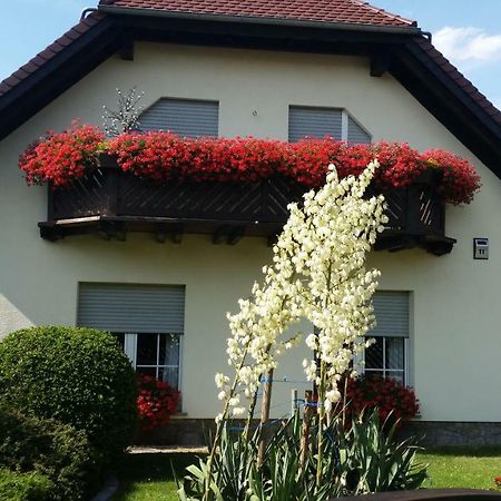 Weissig  Studio Orchidee מראה חיצוני תמונה